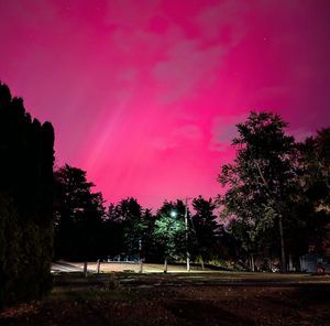 Meet your Posher, Carol